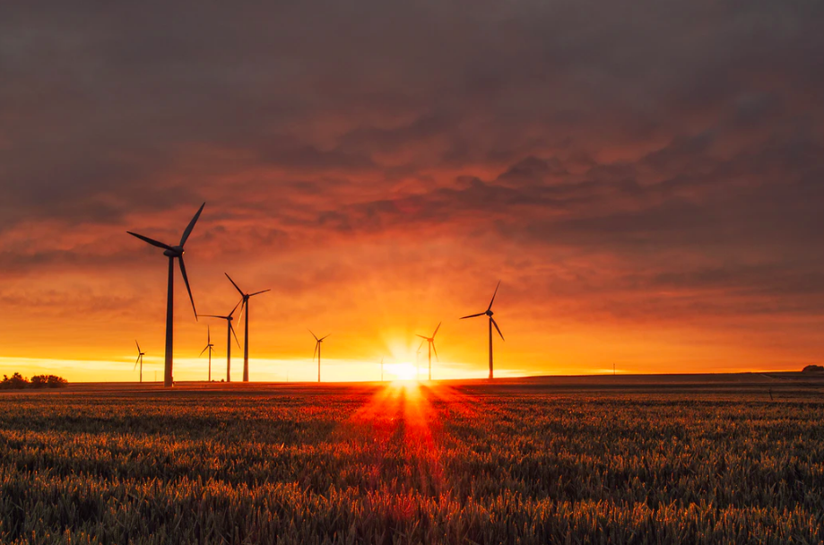 En 2021 se impulsará la acción mundial hacia las energías renovables