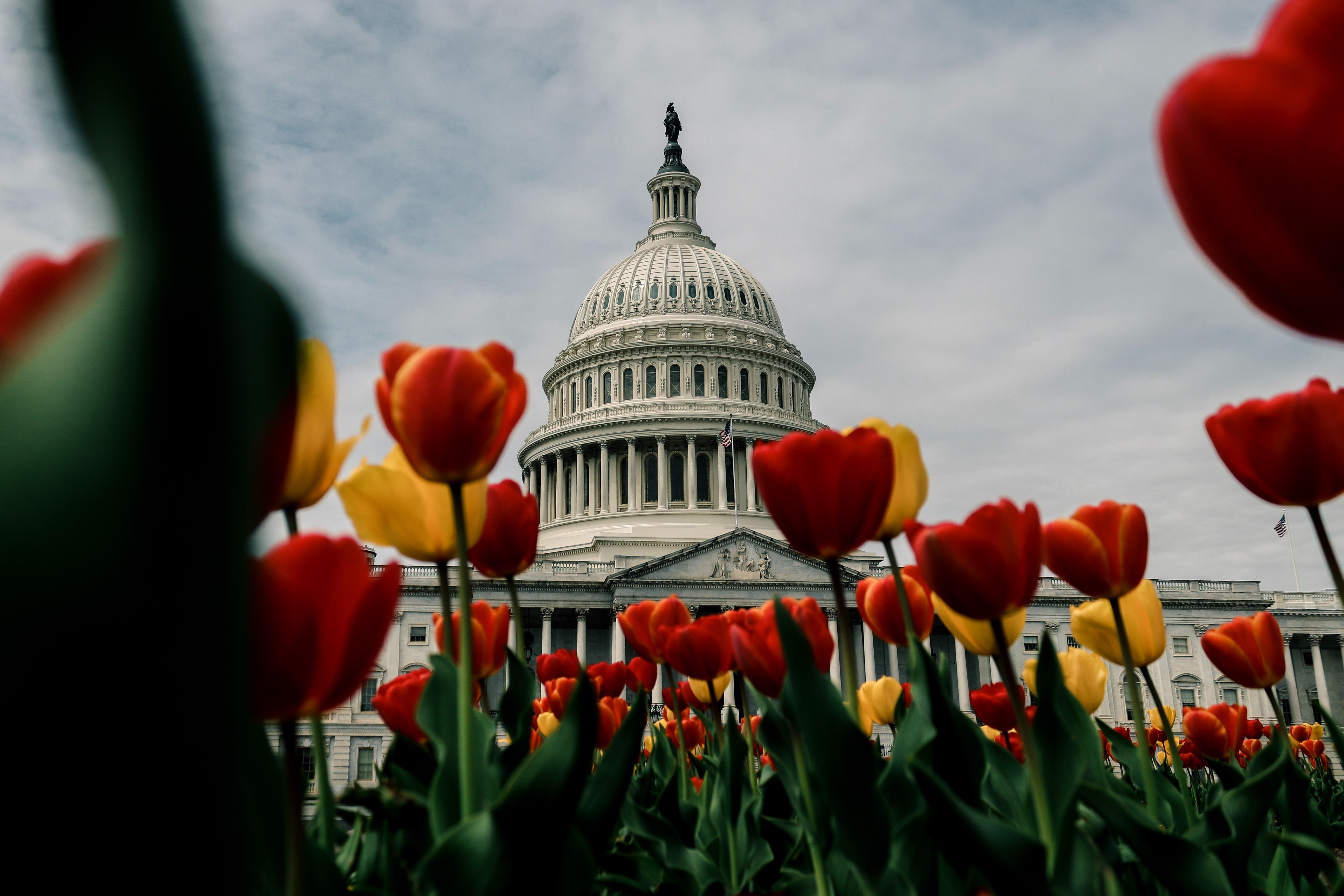 Washington lanza consulta pública para su sistema de tope e inversión