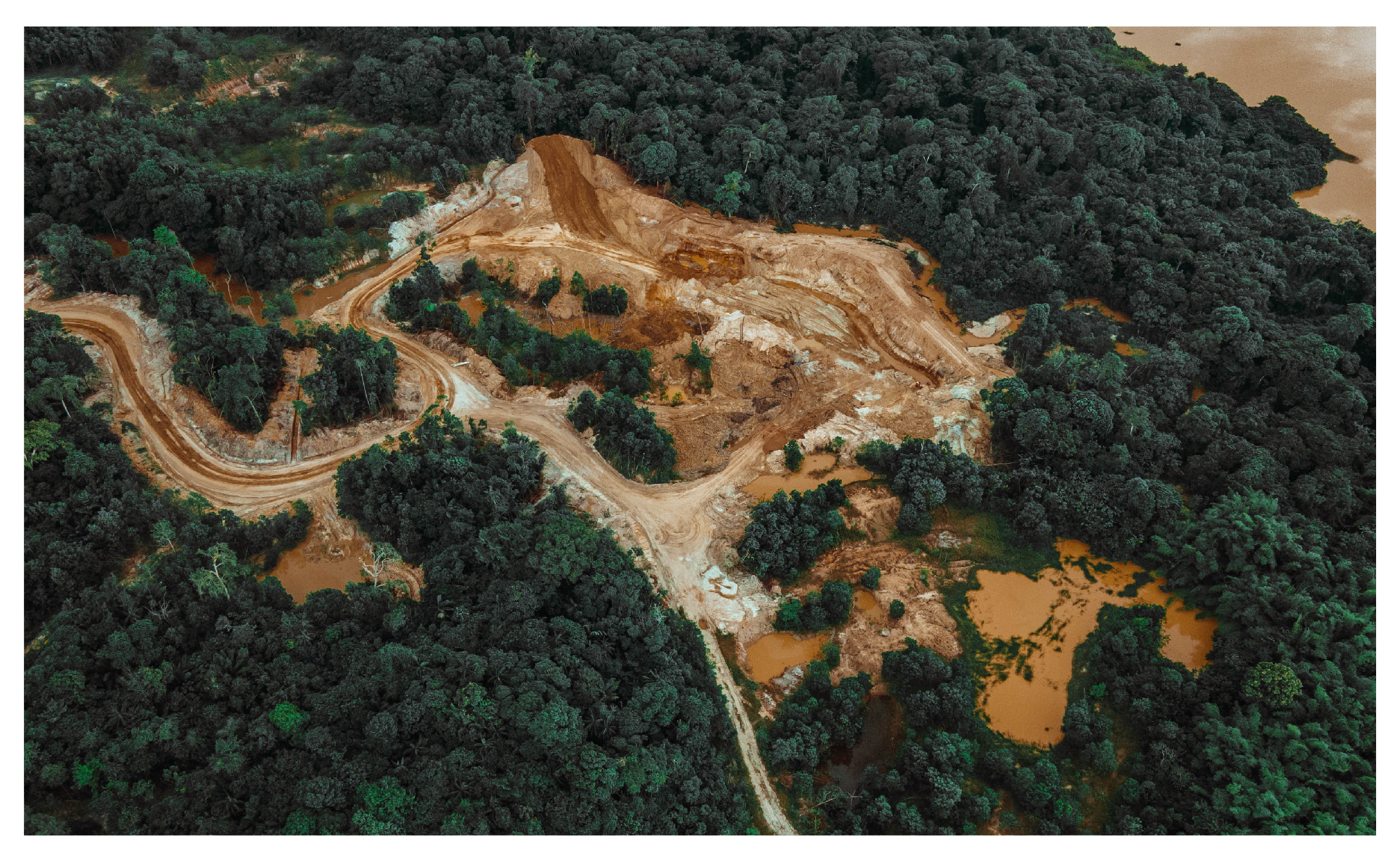 La deforestación en Colombia superó récord por segundo año consecutivo