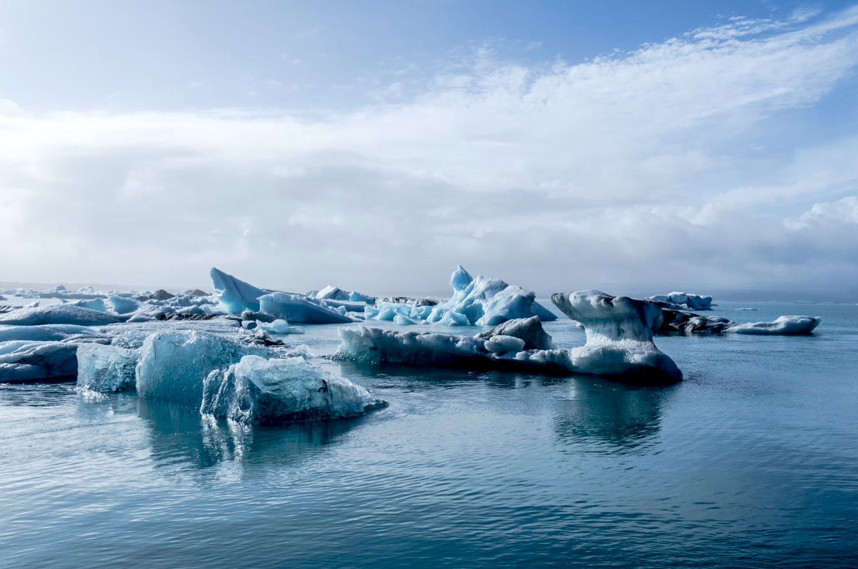 WMO confirma temperatura récord de 38°C en el Ártico
