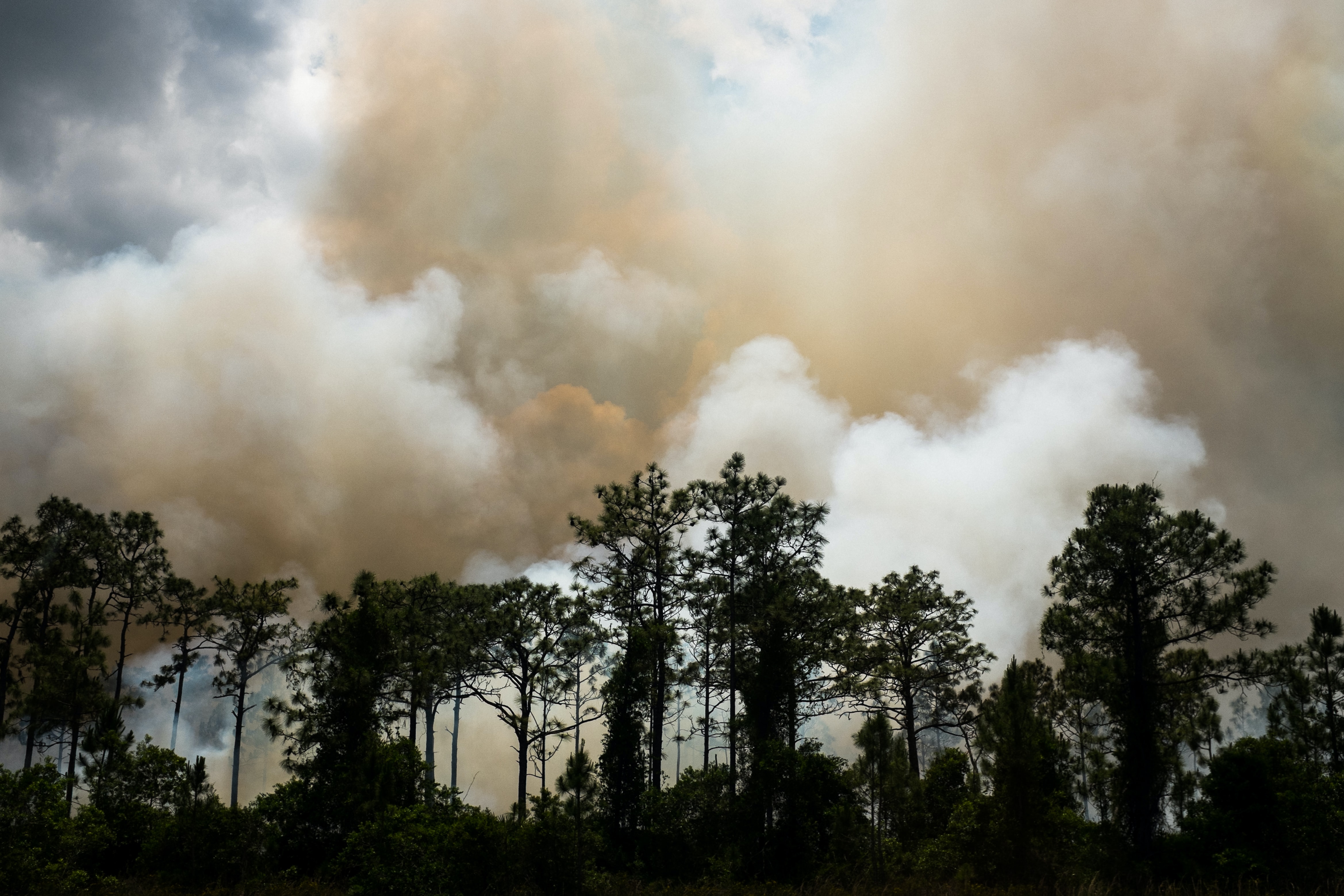 Los incendios en Nuevo México serían consecuencia del cambio climático