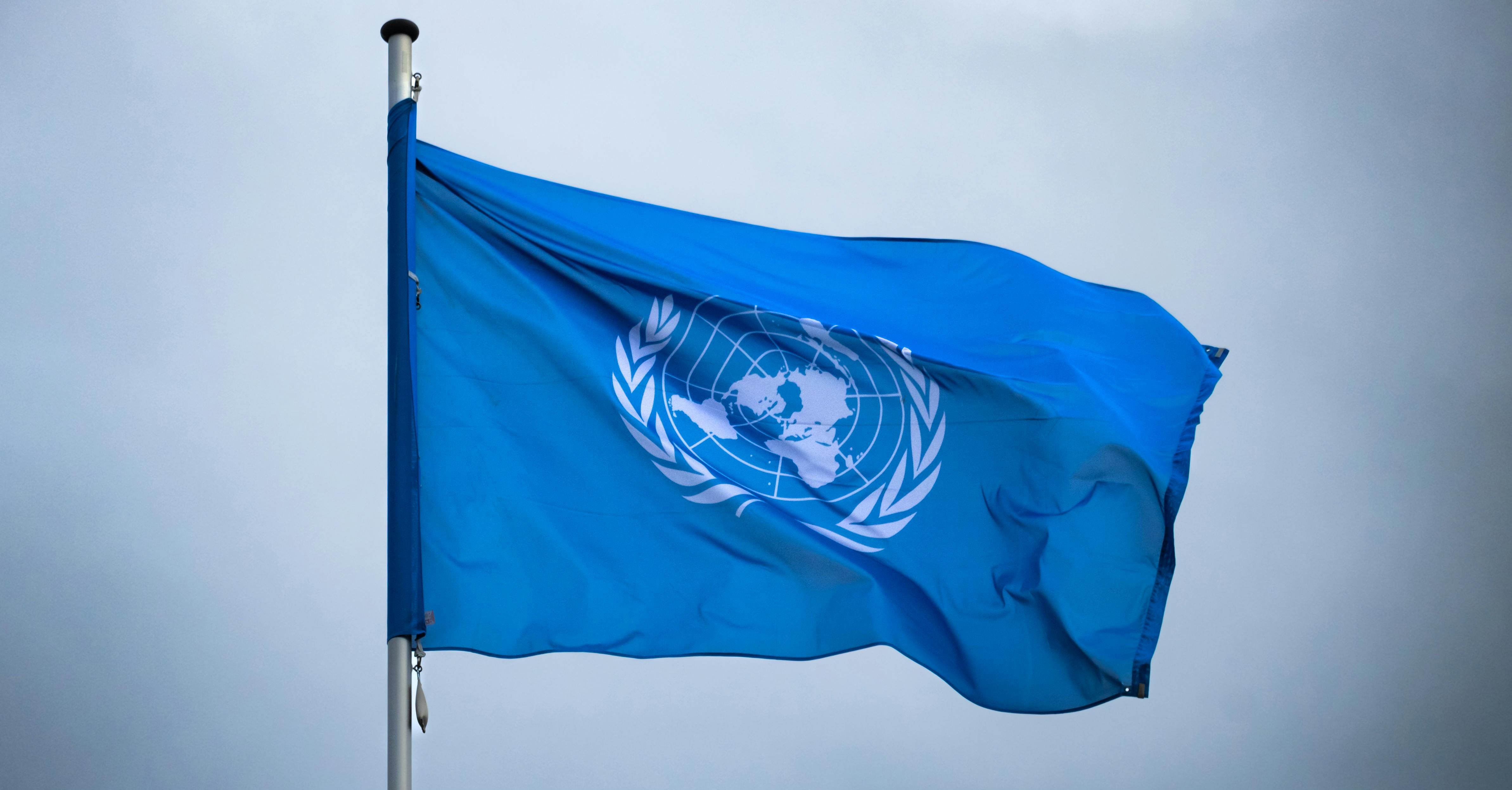 ONU aprueba normas para impulsar al Mercado de Carbono bajo Art. 6.4