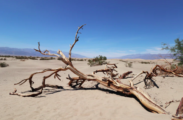 La Organización Meteorológica Mundial advierte un aumento de temperatura en los próximos cinco a