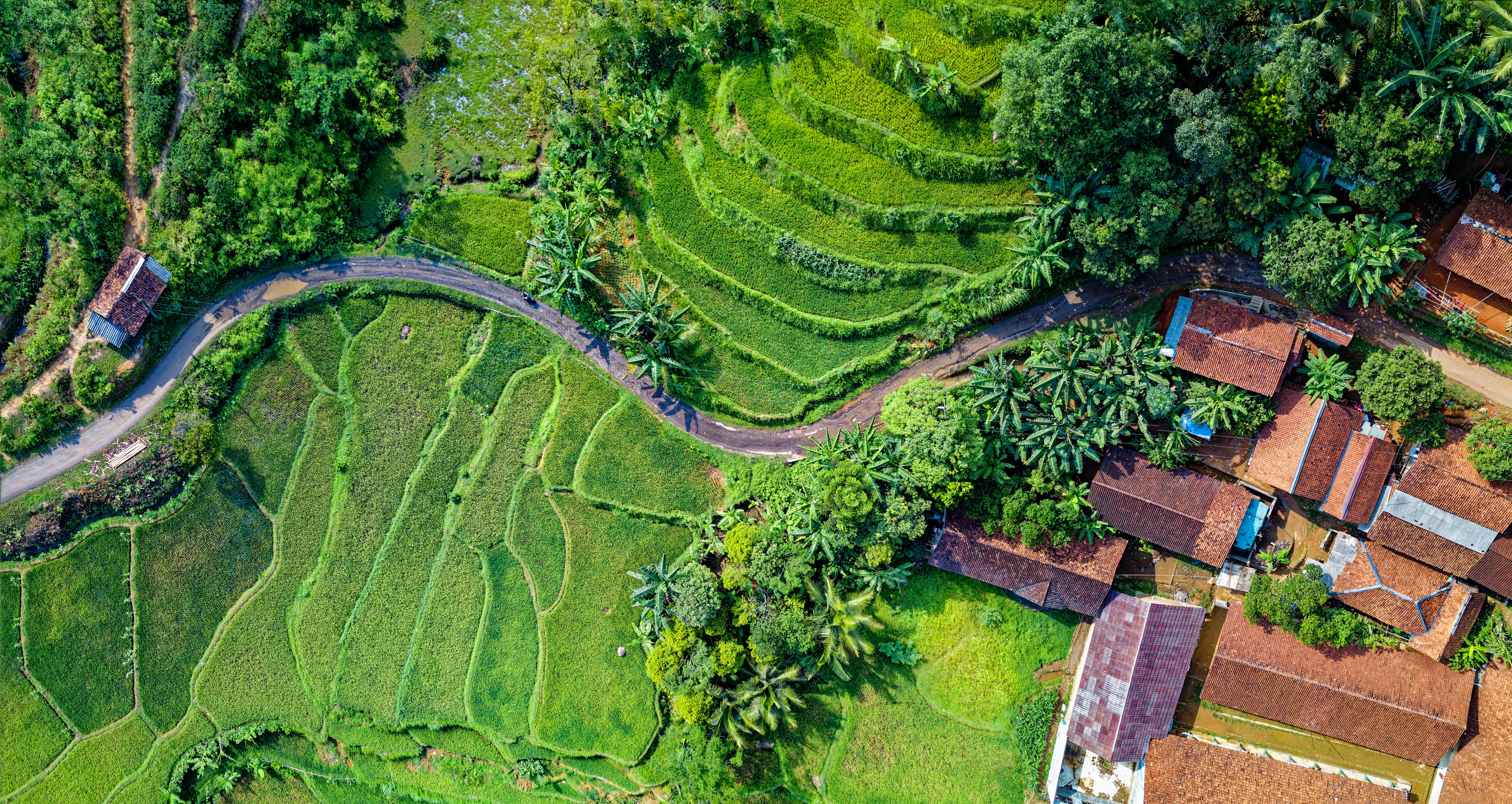 Sistema de comercio de emisiones de Indonesia para lanzarse el próximo mes